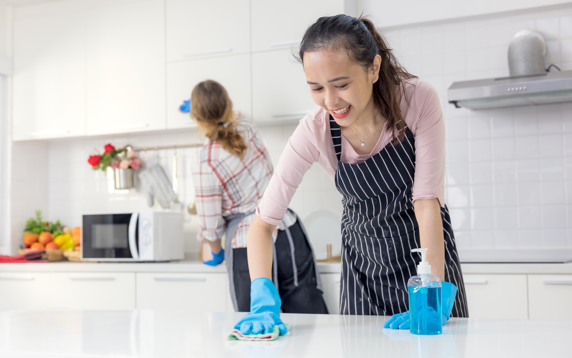 home cleaner
